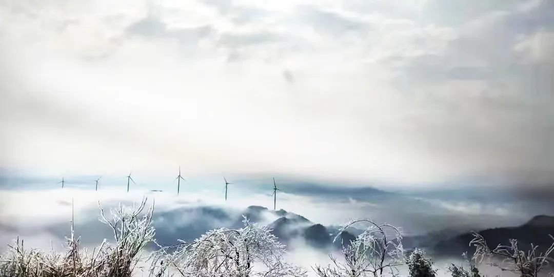 万利官网(中国)唯一官方网站